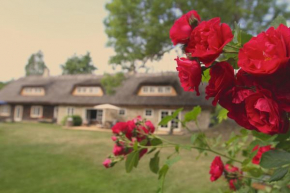 Metsara B & B in Tornimäe